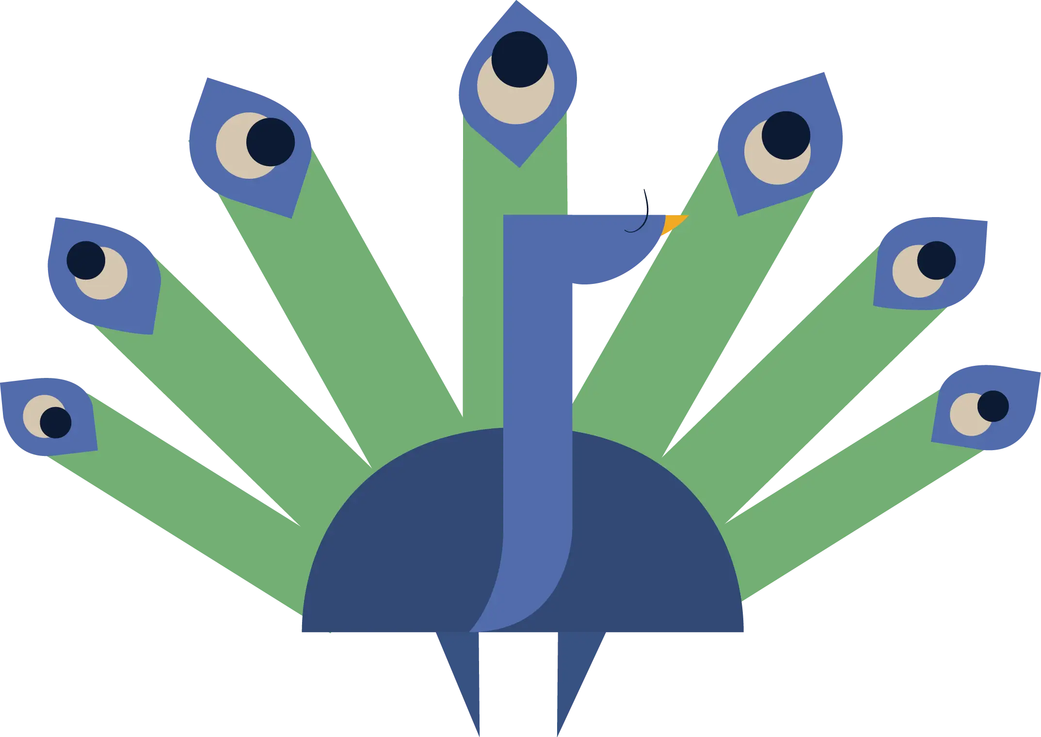 Colorful Peacock Illustration