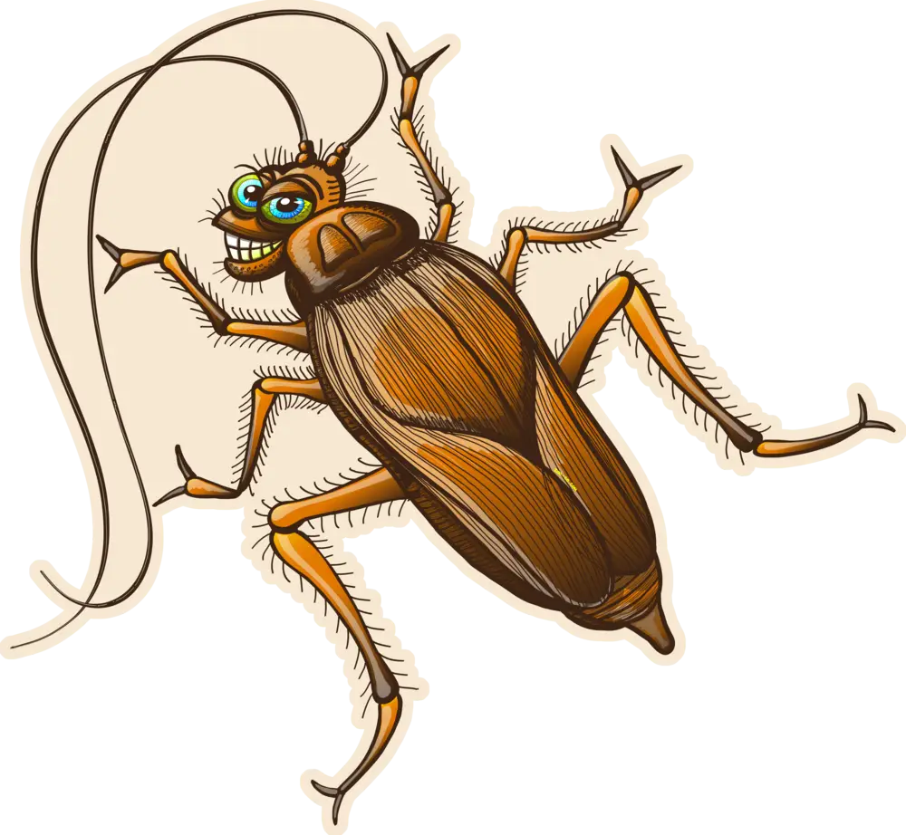 Funny Cartoon Cockroach