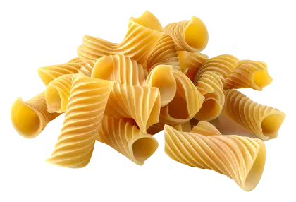 Rigatoni Pasta for Delicious Italian Recipes