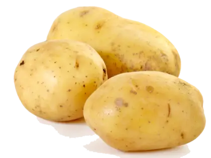 Fresh Yellow Potatoes on White Background
