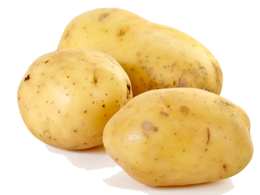 Fresh Yellow Potatoes on White Background