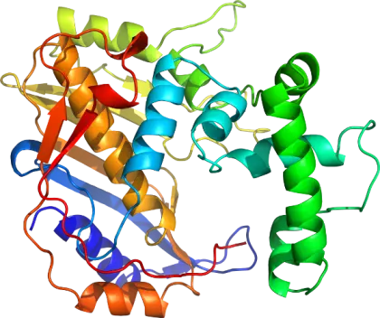 Colorful Protein Structure Illustration