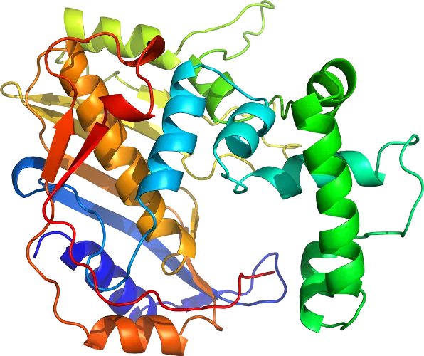 Colorful Protein Structure Illustration