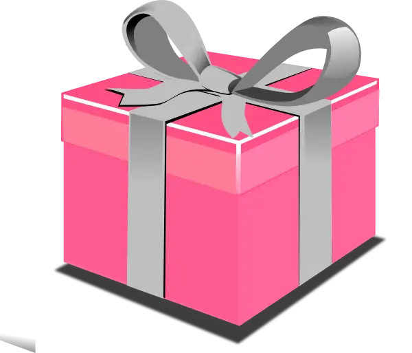 Pink Gift Box with Silver Ribbon