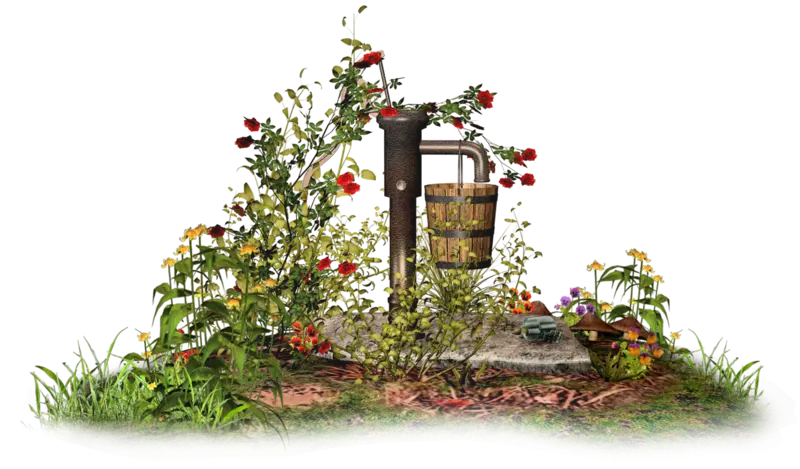 Vintage Water Pump Surrounded by Flowers
