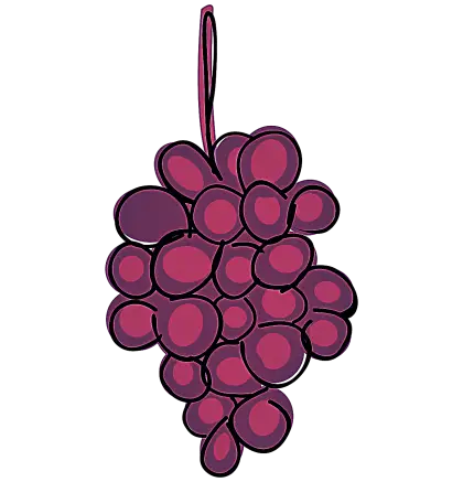 Cartoon Purple Grapes Illustration
