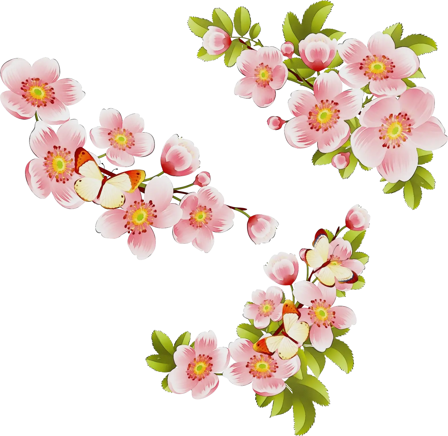 Pink Cherry Blossoms and Butterflies Illustration