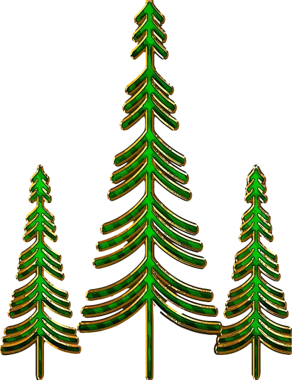 Green Pine Trees for Nature and Holiday Settings