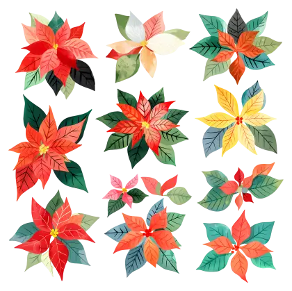 Festive Poinsettia Flowers for Christmas