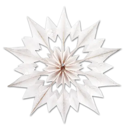 White Paper Star Decoration