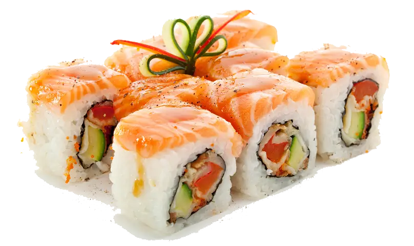 Delicious Salmon Sushi Rolls