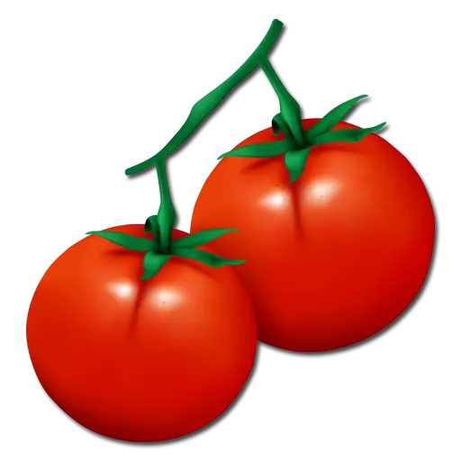 Two Ripe Red Tomatoes on Vine