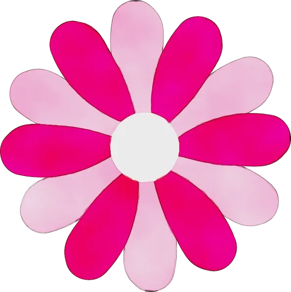 Pink Flower with Soft Petals Illustration