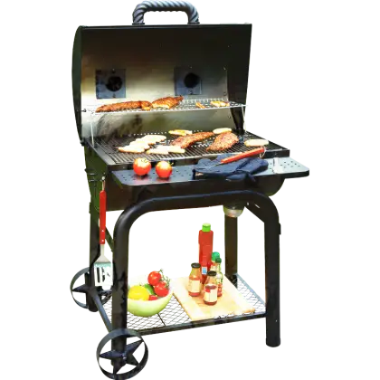 Barbecue Grill with Food