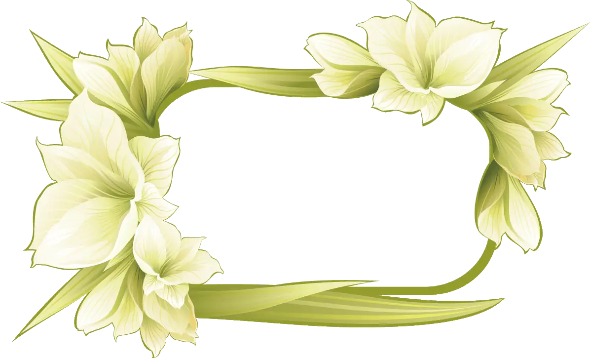 Elegant Green Floral Frame with Leaves and Flowers