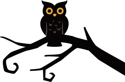 Black Owl Sitting on a Tree Branch