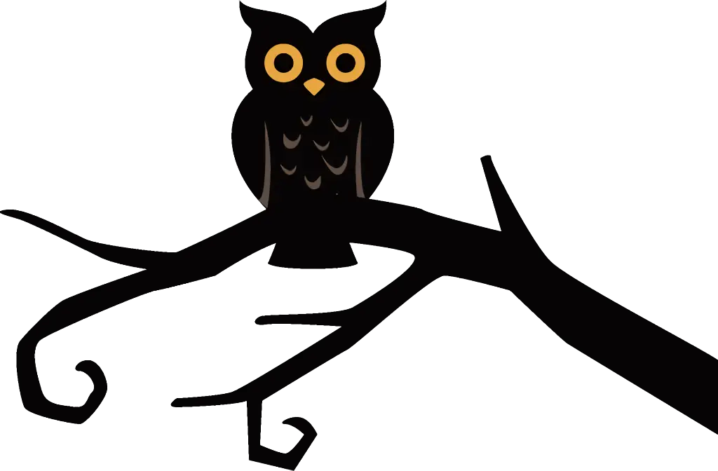 Black Owl Sitting on a Tree Branch