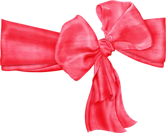 Elegant Red Satin Decorative Bow