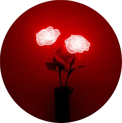 Red Neon Roses in Dark Background