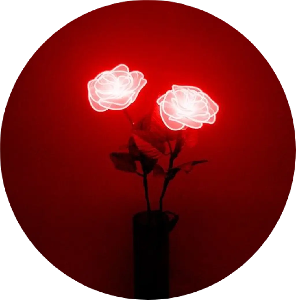 Red Neon Roses in Dark Background