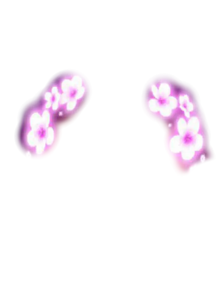 Glowing Pink Flower Petals