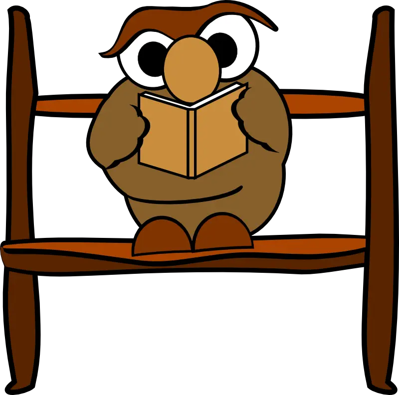 Owl Reading a Book Cartoon Illustration