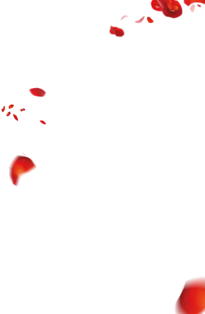 Floating Red Petals Design