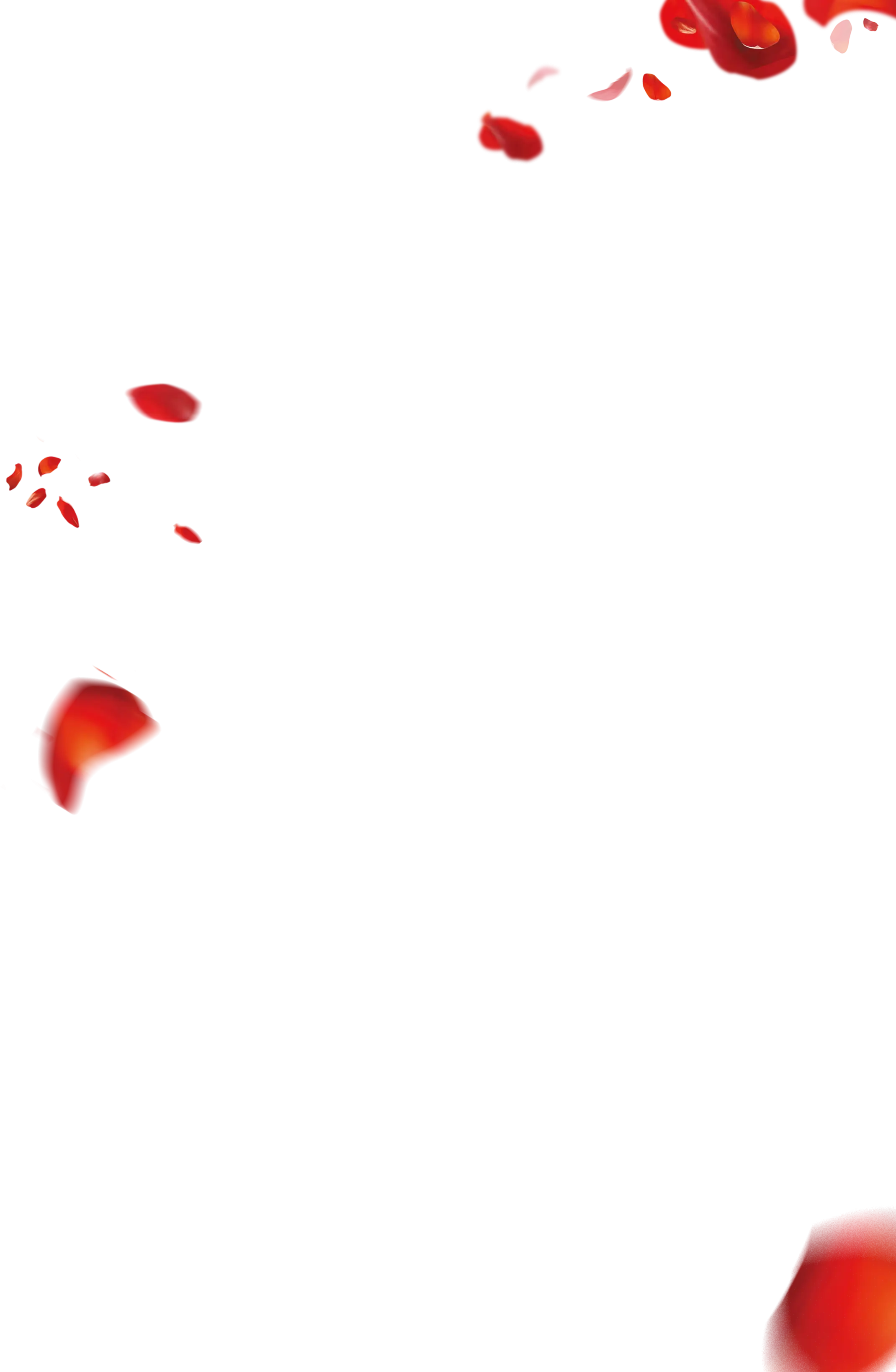 Floating Red Petals Design