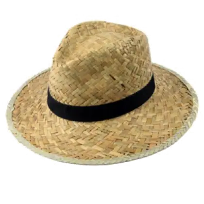 Stylish Straw Summer Hat