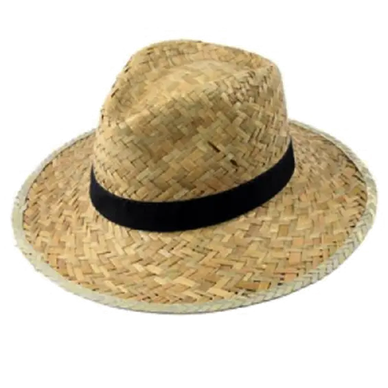 Stylish Straw Summer Hat