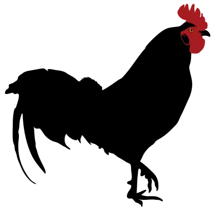 Black Rooster Silhouette Illustration