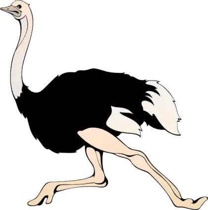 Running Ostrich Illustration