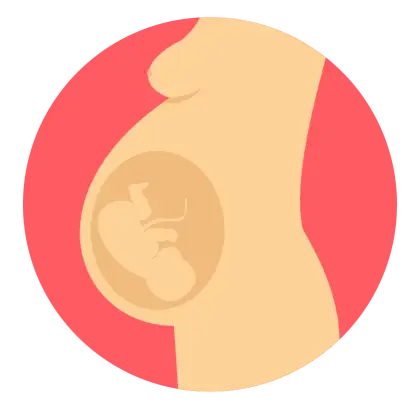 Pregnant Woman with Baby Inside Illustration