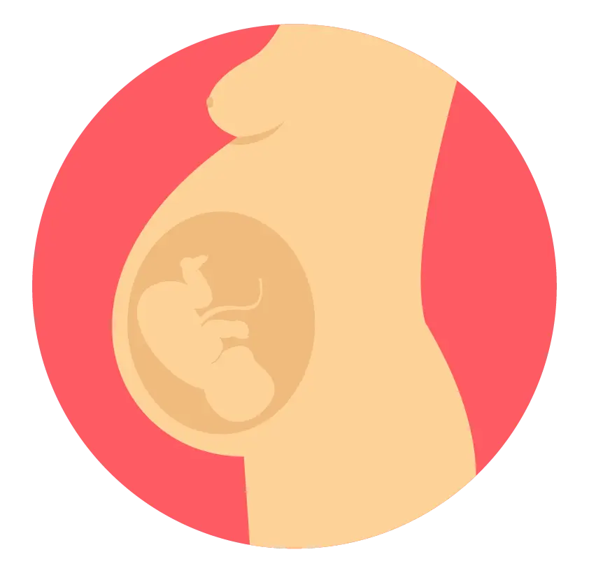 Pregnant Woman with Baby Inside Illustration