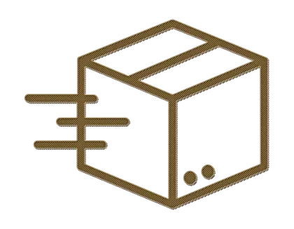 Express Delivery Box Icon
