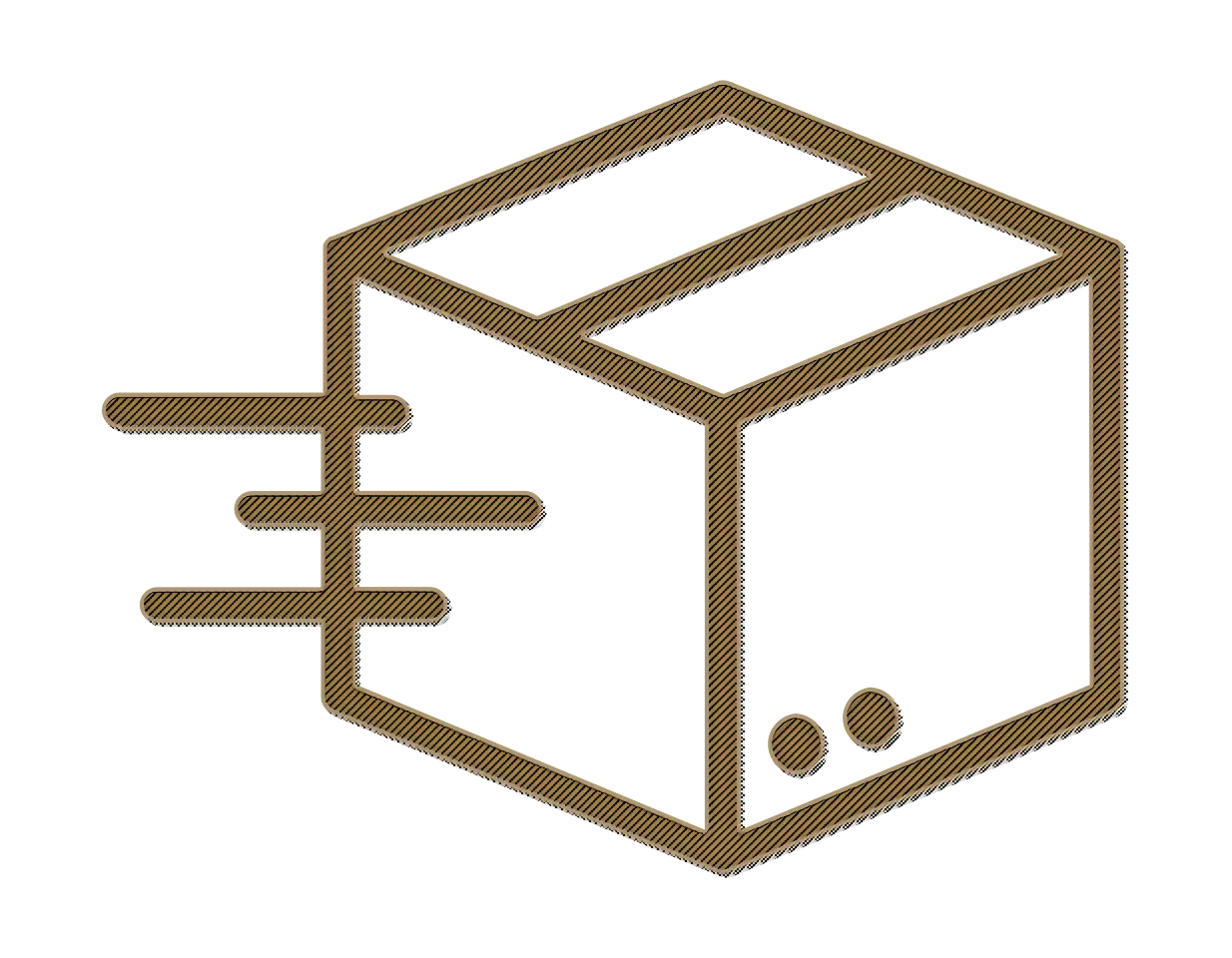 Express Delivery Box Icon