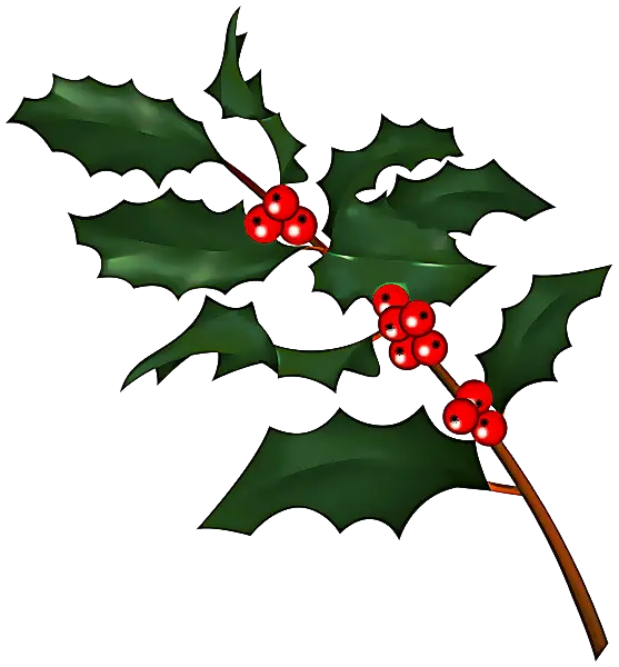 Holly Branch with Red Berries