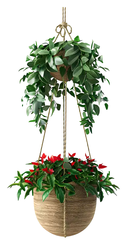 Hanging Plant with Red Flowers