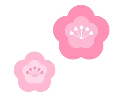 Pink Sakura Flowers Illustration