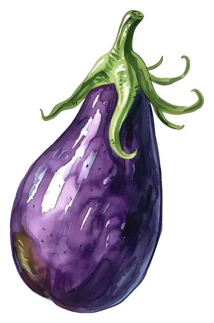 Purple Eggplant Artistic Illustration