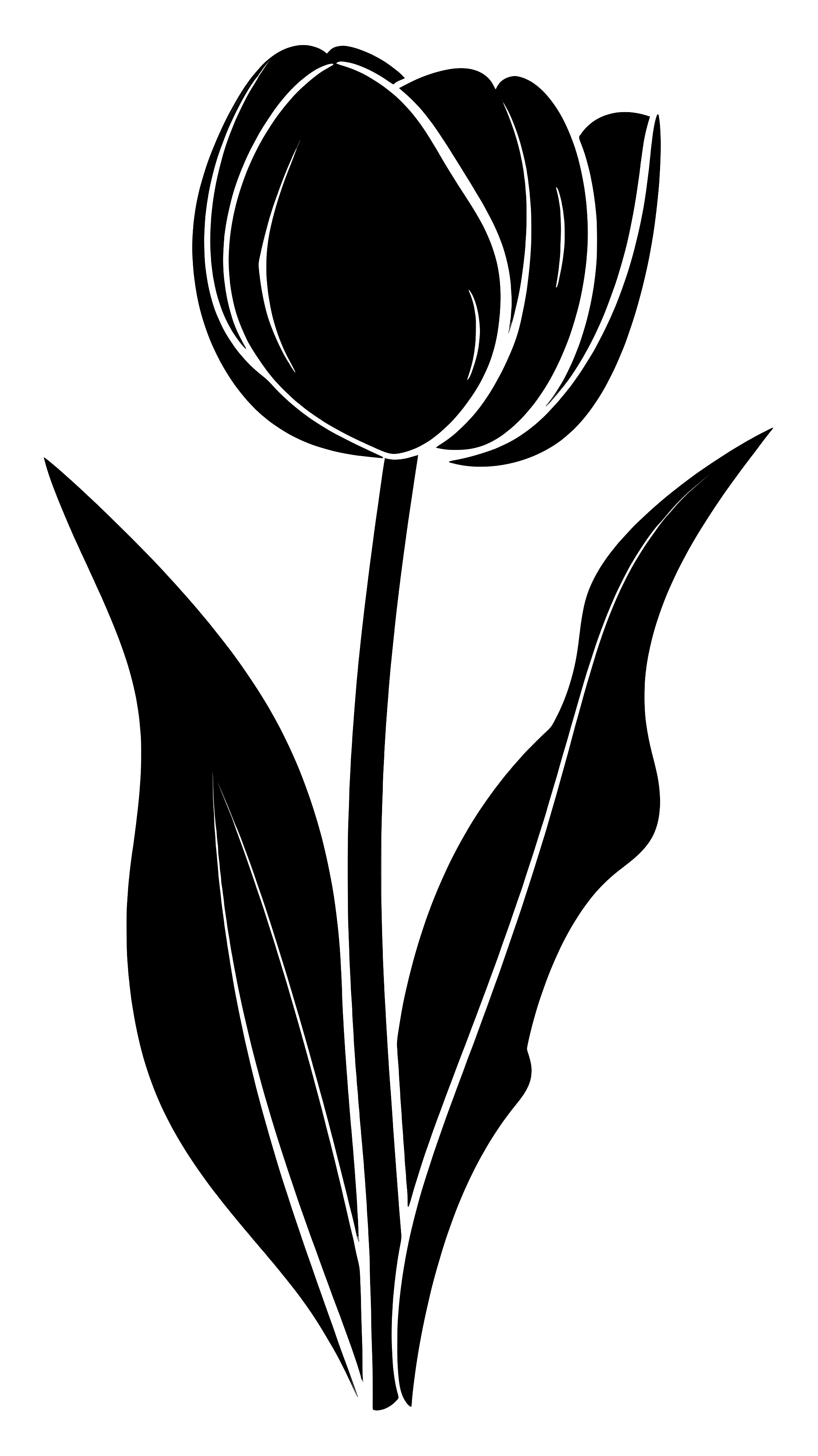 Black Tulip Silhouette Art Design