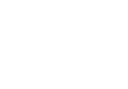 White Lace Bow for Decoration