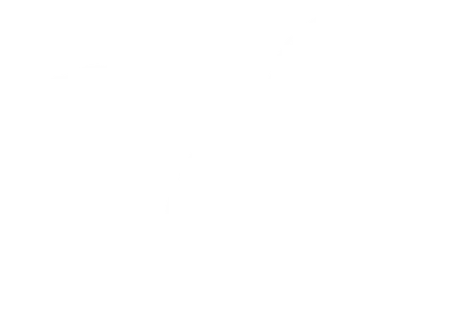 White Lace Bow for Decoration