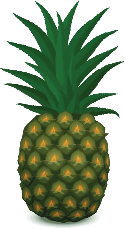 Pineapple Illustration with Green Leaves
