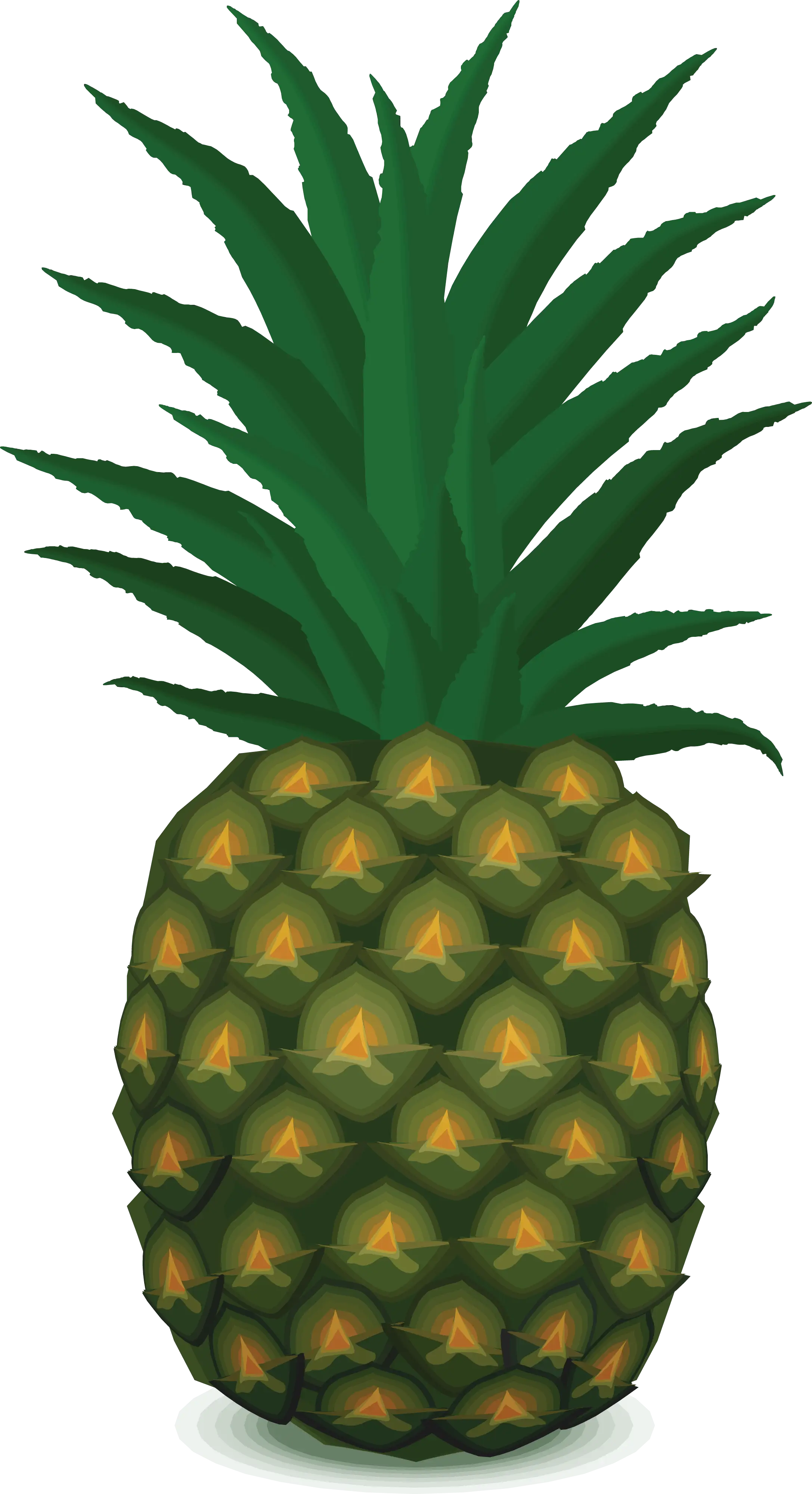 Pineapple Illustration with Green Leaves