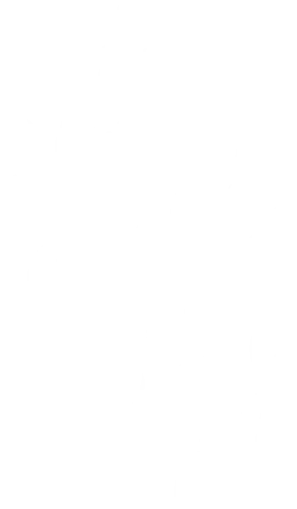 Minimalistic Bamboo Silhouette