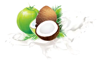 Fresh Coconut with Milk Splash