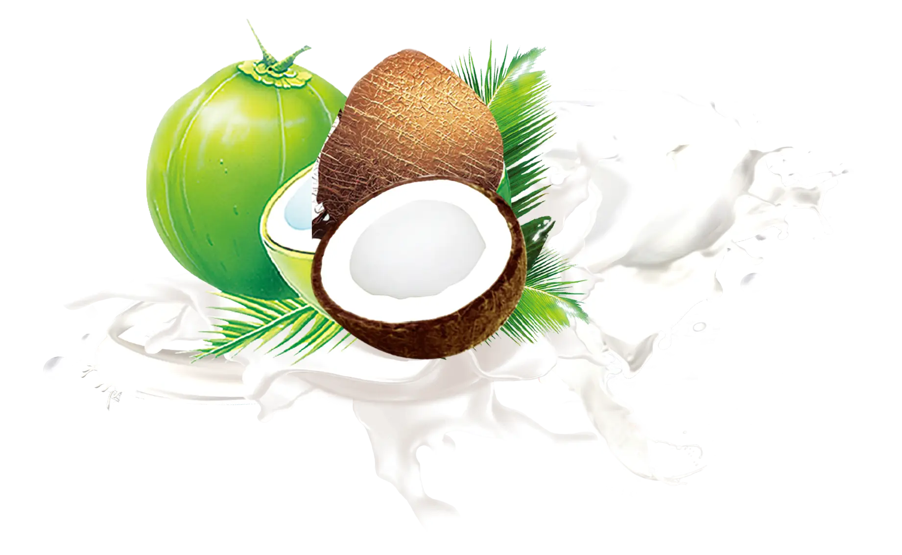 Fresh Coconut with Milk Splash