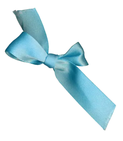 Blue Ribbon Bow as a Decorative Piece