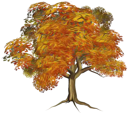 Autumn Tree with Orange Leaves